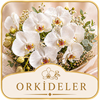 Orkideler