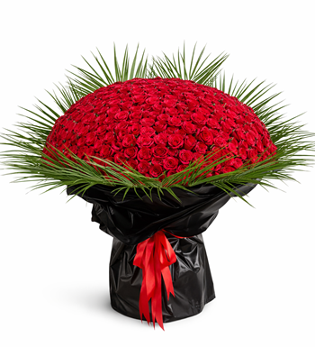 500 gül, kırmızı gül buketi, premium gül buketi,
