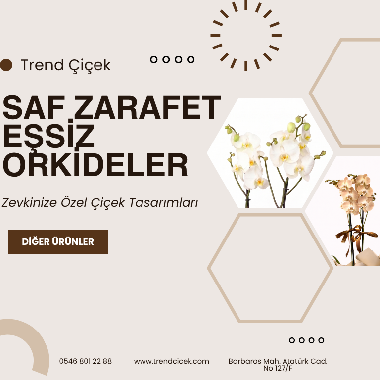 Zarafetin ve sevginin simgesi olan orkide çiçekleri, özel günlerin en şık hediyelerinden biridir. Evinize ve sevdiklerinize doğal bir güzellik katmak için.