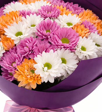 renkli papatya buketi, mor ambalajlı çiçek, premium papatya