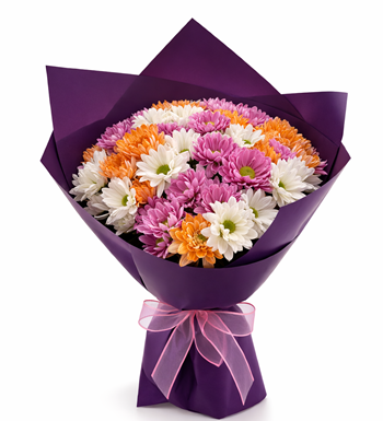 renkli papatya buketi, mor ambalajlı çiçek, premium papatya