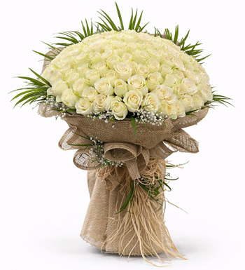 101 beyaz gül, beyaz gül buketi, premium çiçek